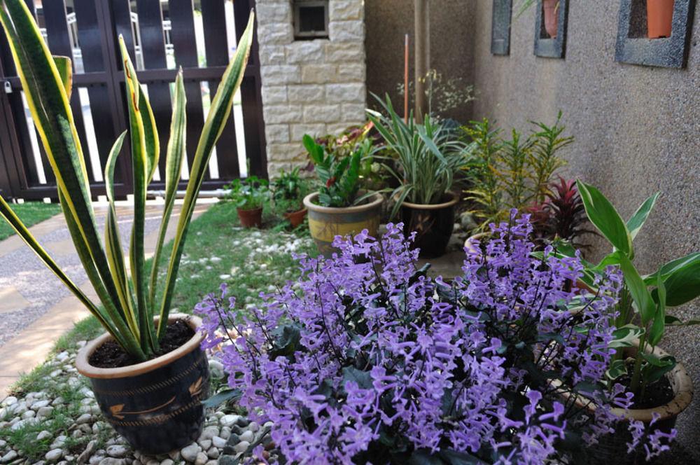 Garden Vacation Suite Bentong Exterior foto